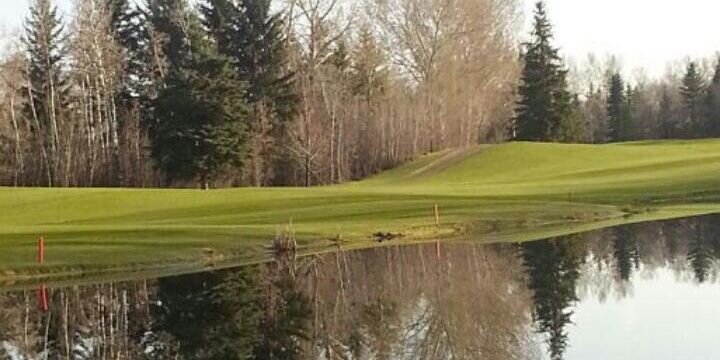 Reddeerturf's profile banner image