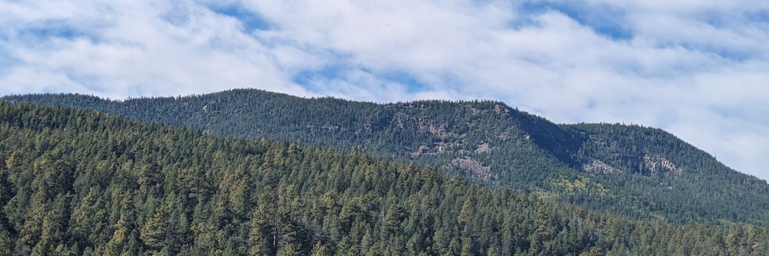 c4hammer's profile banner image