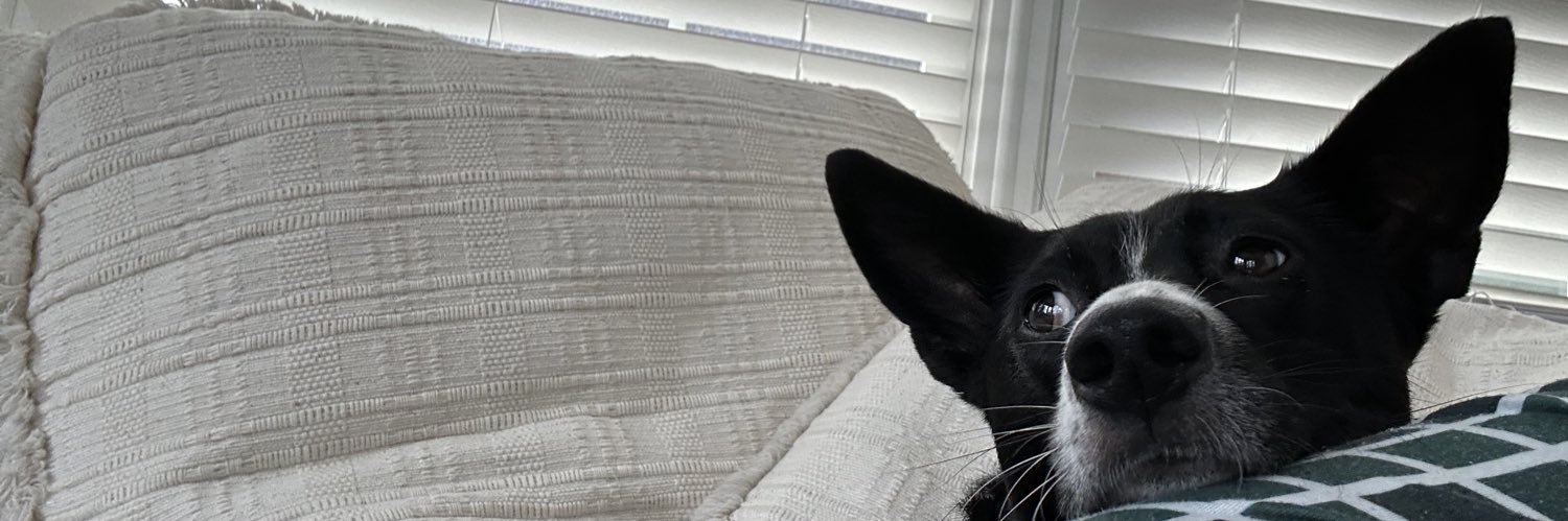 pettyengineer's profile banner image