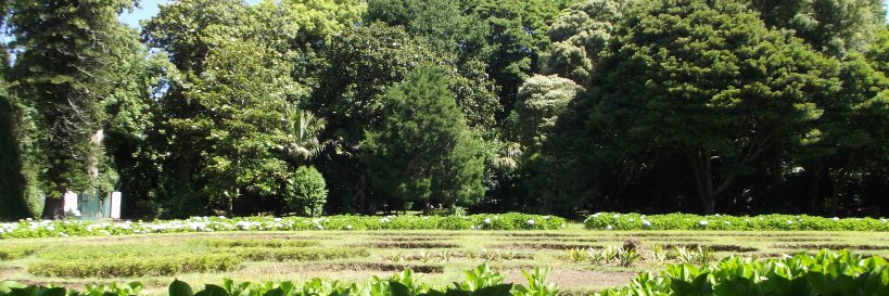 aducosta's profile banner image