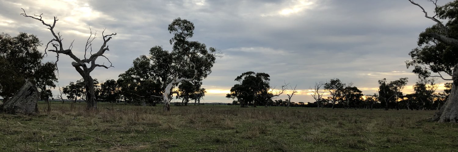 Danielle Lannin England banner