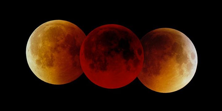 bloodfirestar's profile banner image