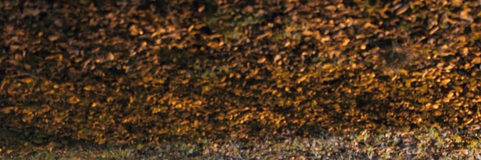 Microphonic_'s profile banner image