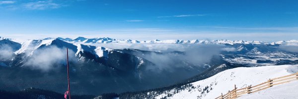 a_amaranto Profile Banner