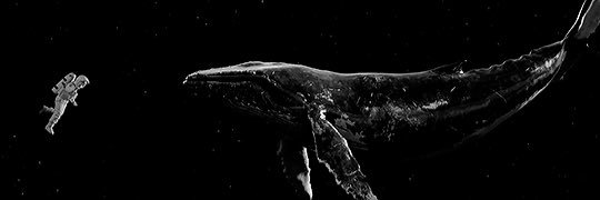 KemKps's profile banner image