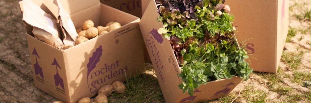 rocketgardens banner