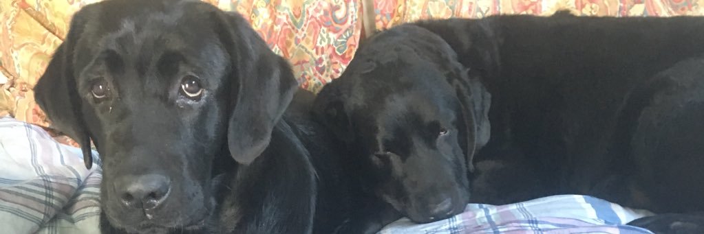 JacobDKielmeyer's profile banner image