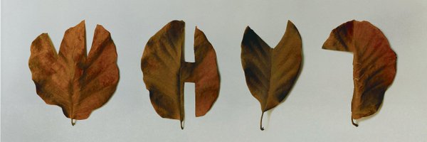 whywithaqmark Profile Banner