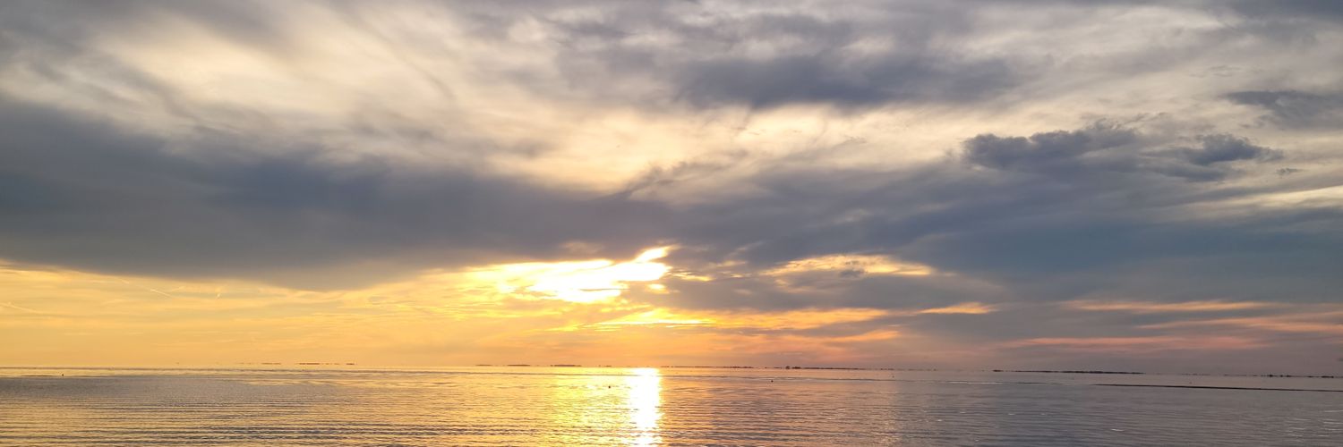 KingMimsy's profile banner image