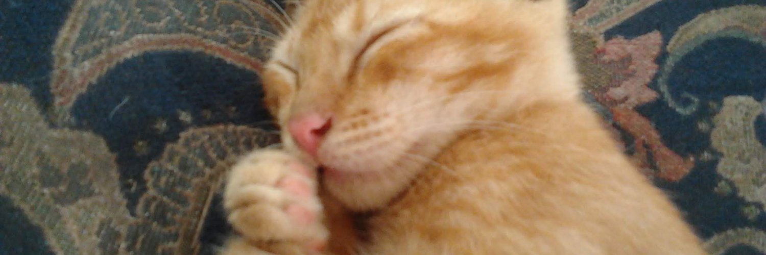royee_royeesh's profile banner image