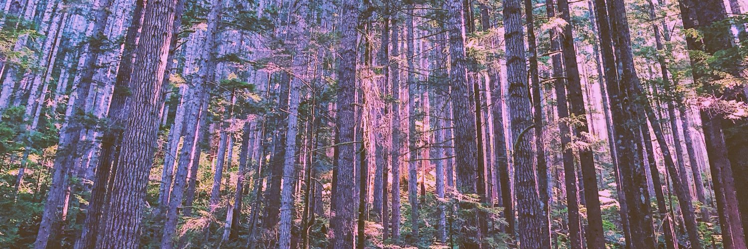 niteowlex's profile banner image
