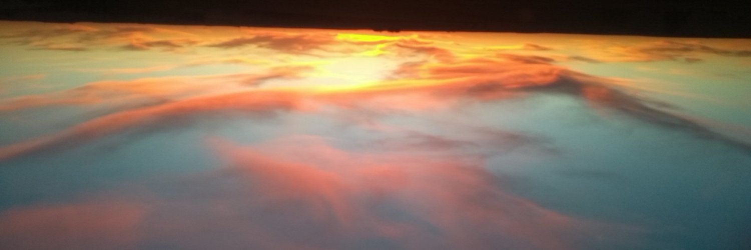 juleanee's profile banner image