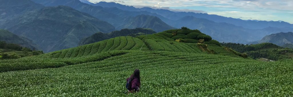 teresavegaaaa's profile banner image