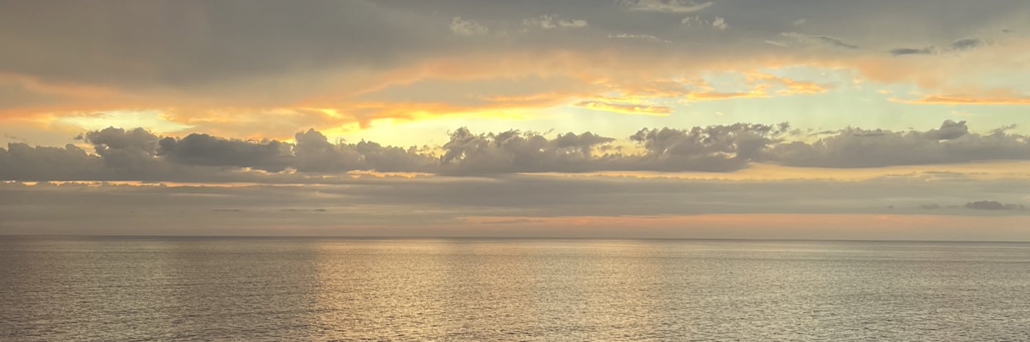 meleeah's profile banner image