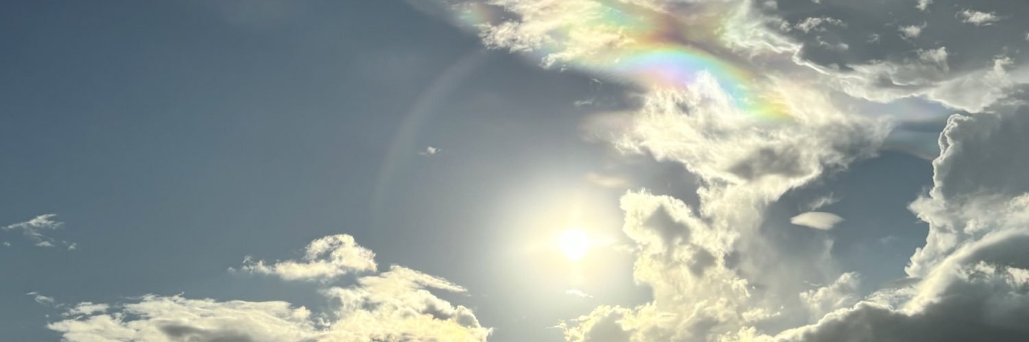 mayeeeo's profile banner image
