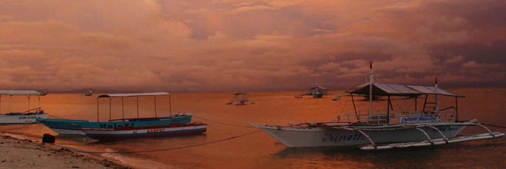 maiNEdla0901's profile banner image