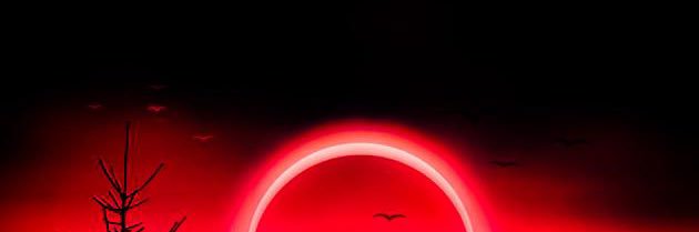irifyz's profile banner image