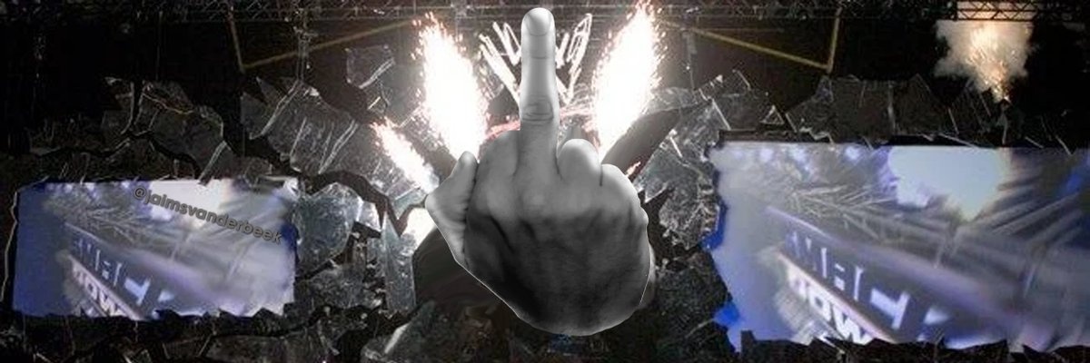 The Wholesome Fuckin Show  banner