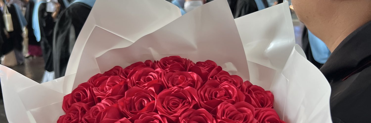 liyaansrl's profile banner image