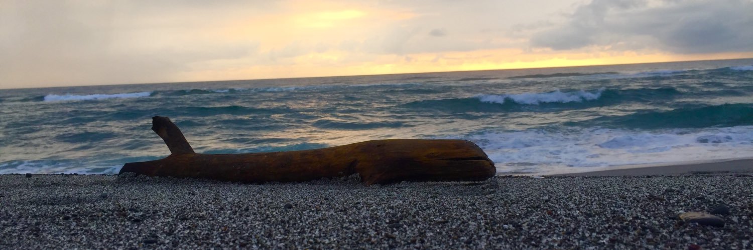 WoodPicker222's profile banner image