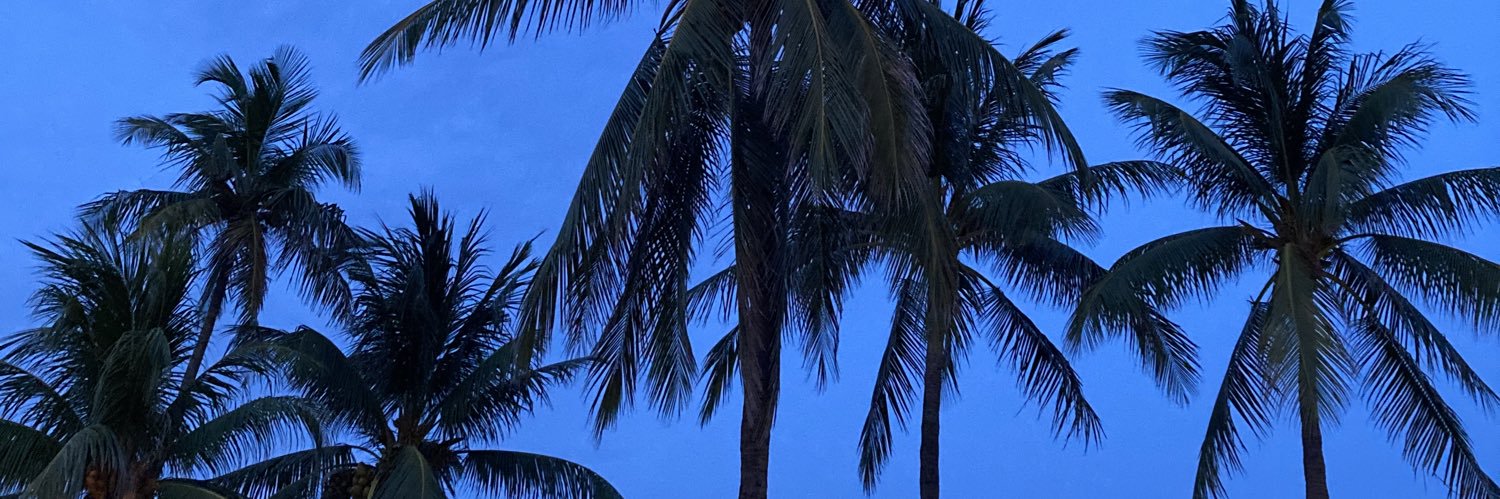 scmcdonald91's profile banner image