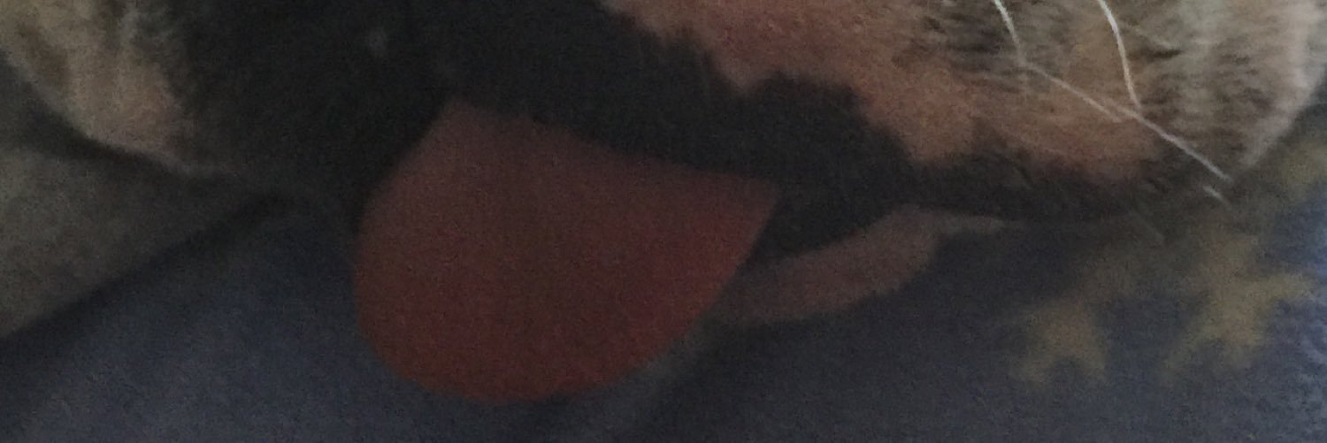bluto1100's profile banner image