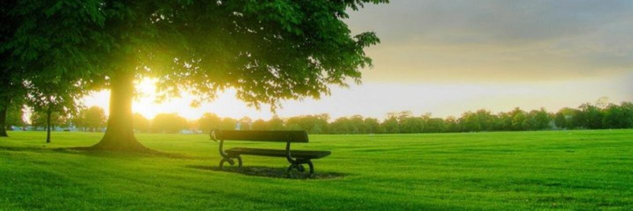 zoran_g's profile banner image