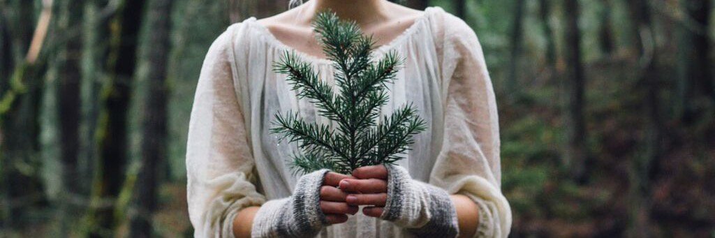 MSkiKnits's profile banner image