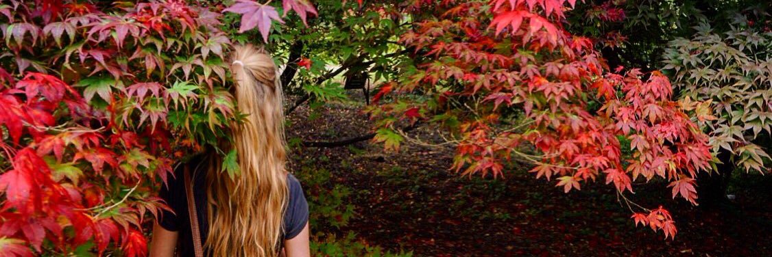 emclarke12's profile banner image