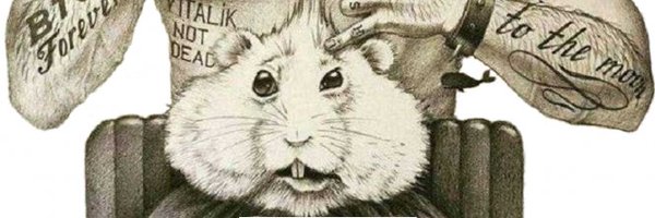 CryptoPartizan_ Profile Banner