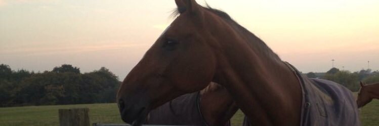 lurico_7's profile banner image