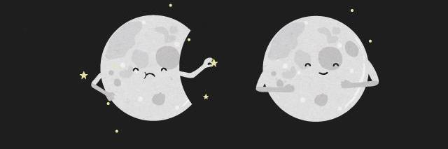 PincheLuna's profile banner image