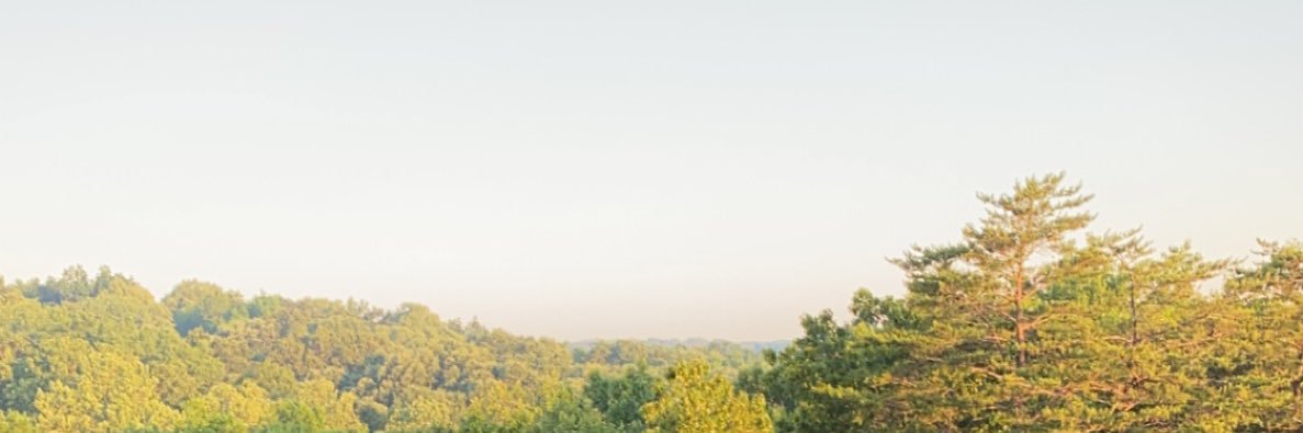 SierraStone0's profile banner image