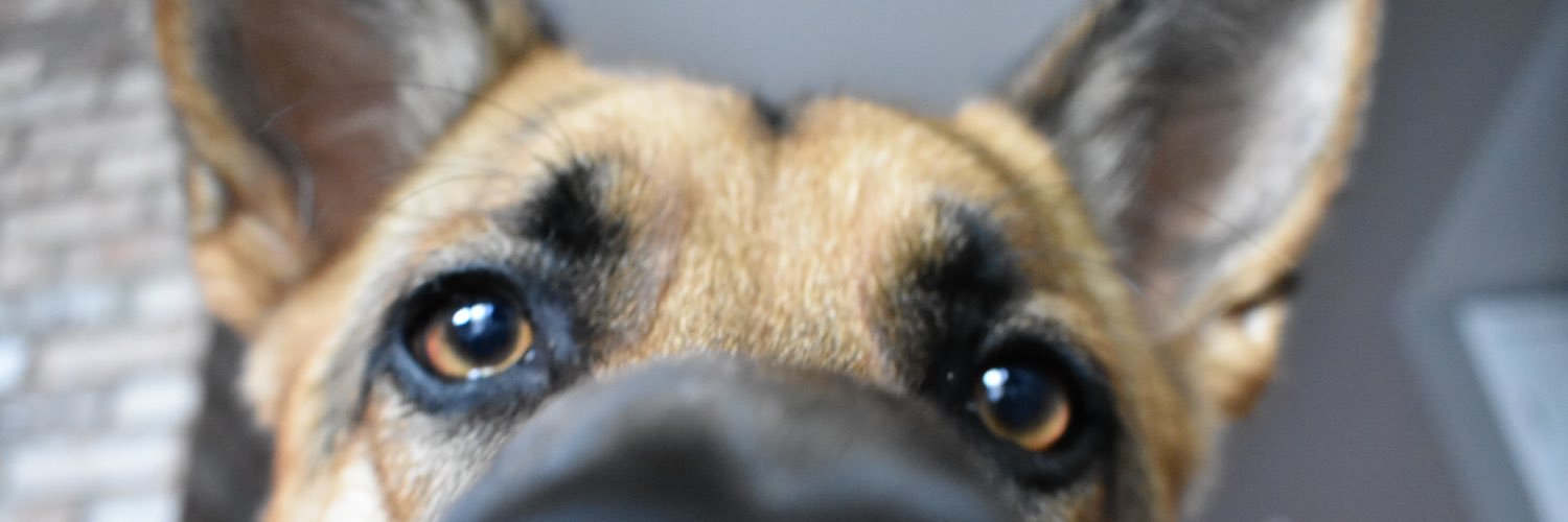 UrFavoriteArab's profile banner image