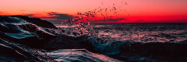 🌻 banner
