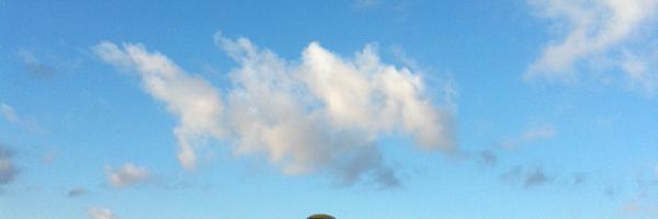 carmeclu Profile Banner