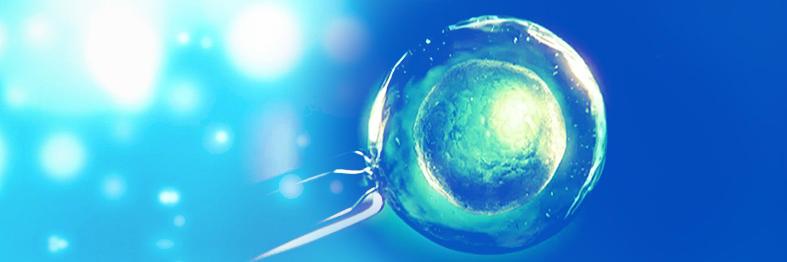GenesisGenetics's profile banner image