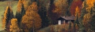 TinyaPutinya's profile banner image