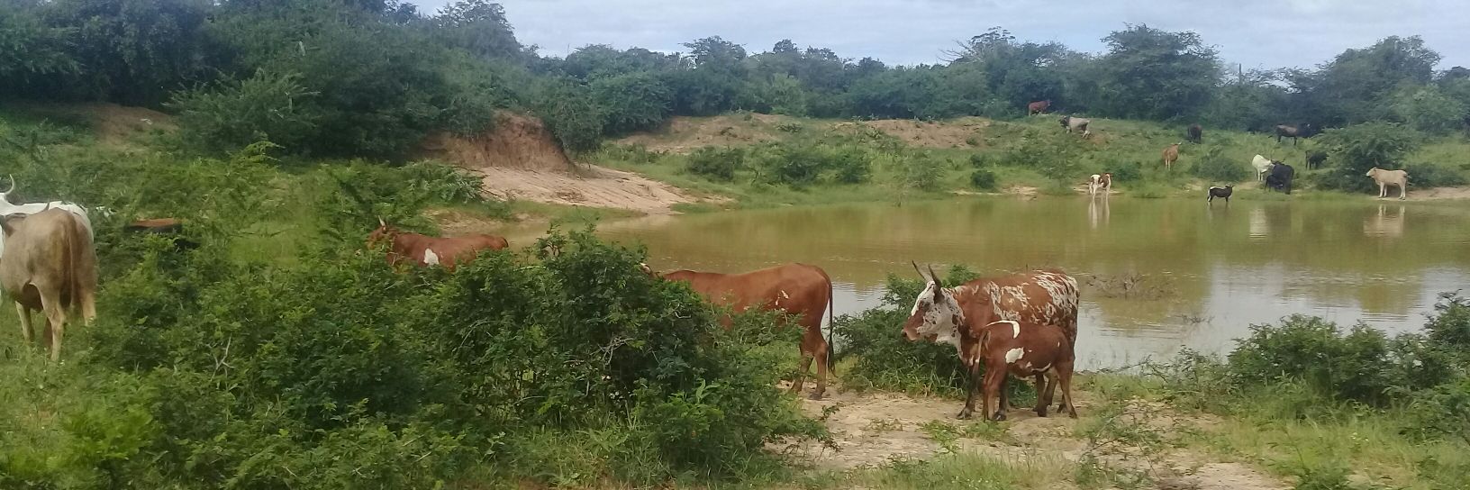 Mpanza Sakhile banner