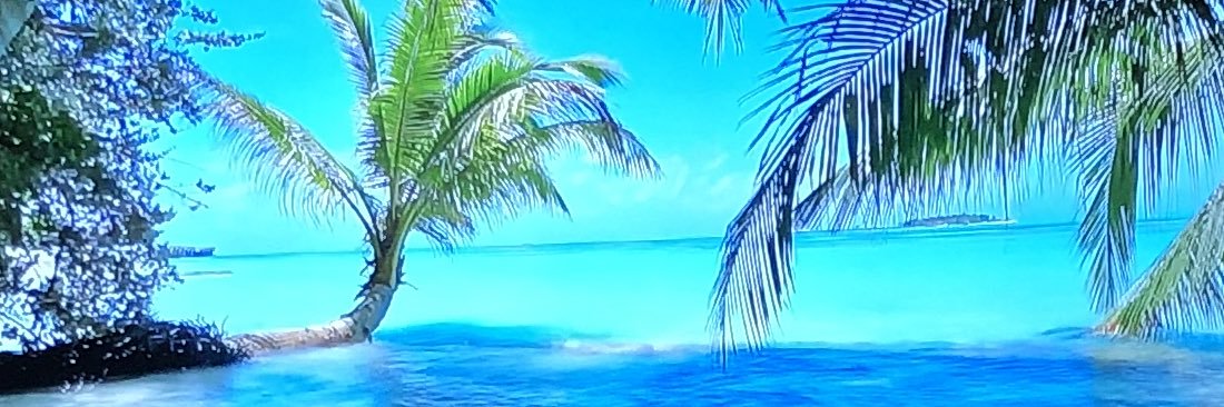 bfarns19's profile banner image