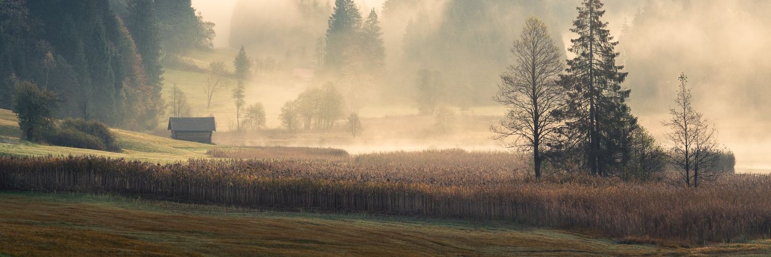 Amityphi's profile banner image