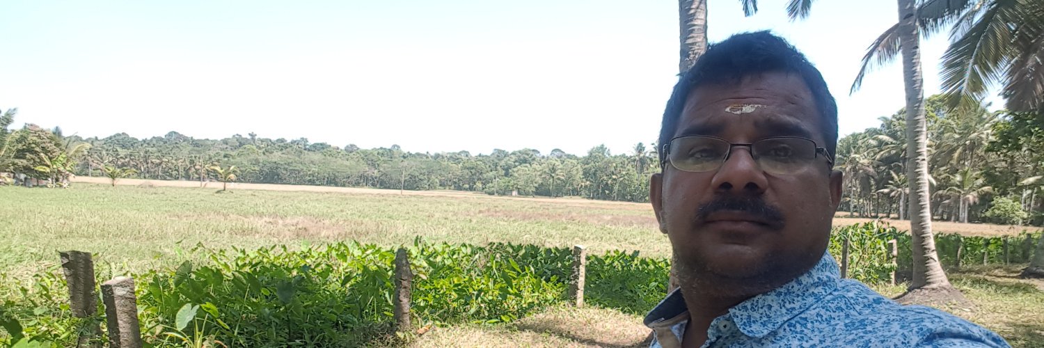msbinu's profile banner image