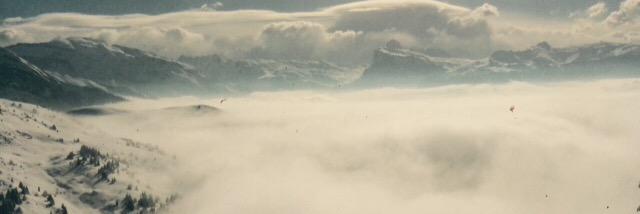 davies895's profile banner image