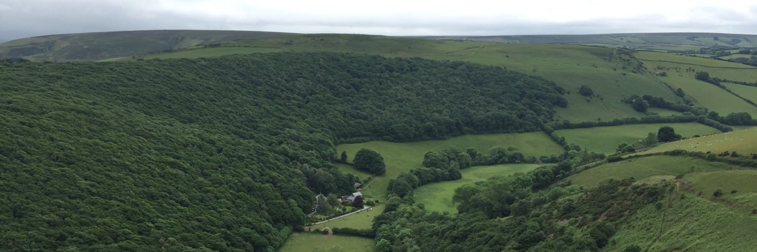 longmeadhouse's profile banner image