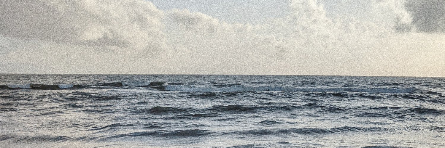 EstherHoole's profile banner image