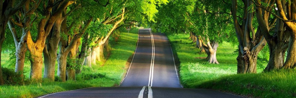 Daniel Ale Sandro Hutabarat banner