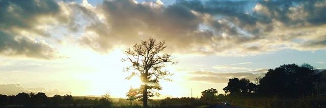 agilbrook's profile banner image