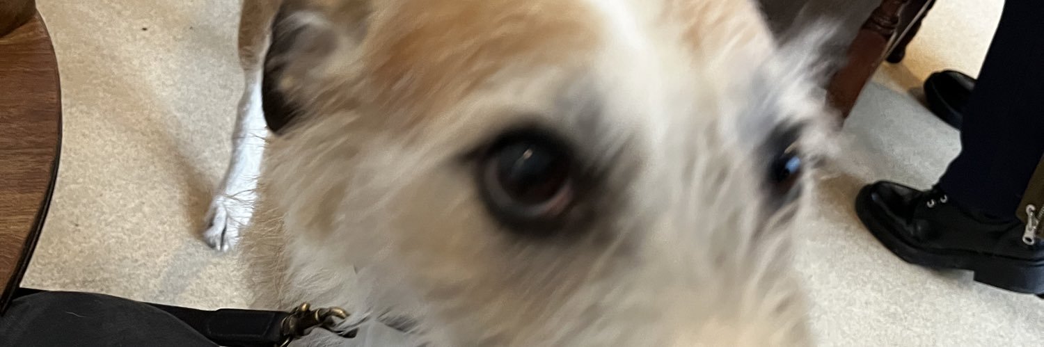 PeterPickering1's profile banner image