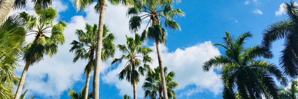 VLBarrientos's profile banner image