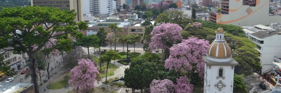 ju_patarroyo's profile banner image
